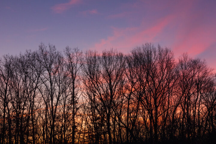 Sunrise behind forest