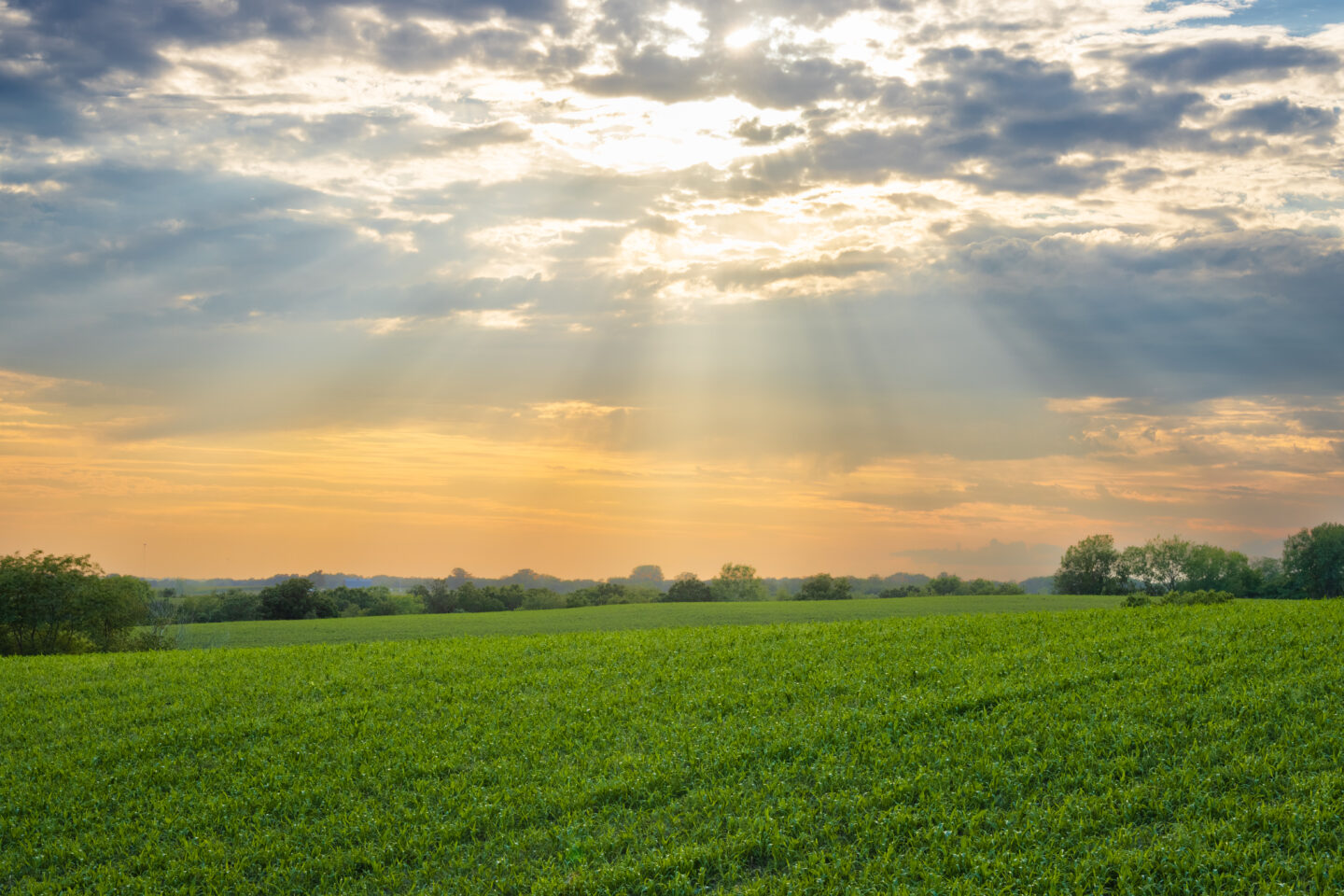 Sun rays shining through clouds