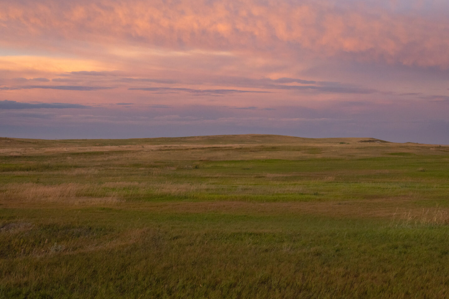 Grass field at sunset